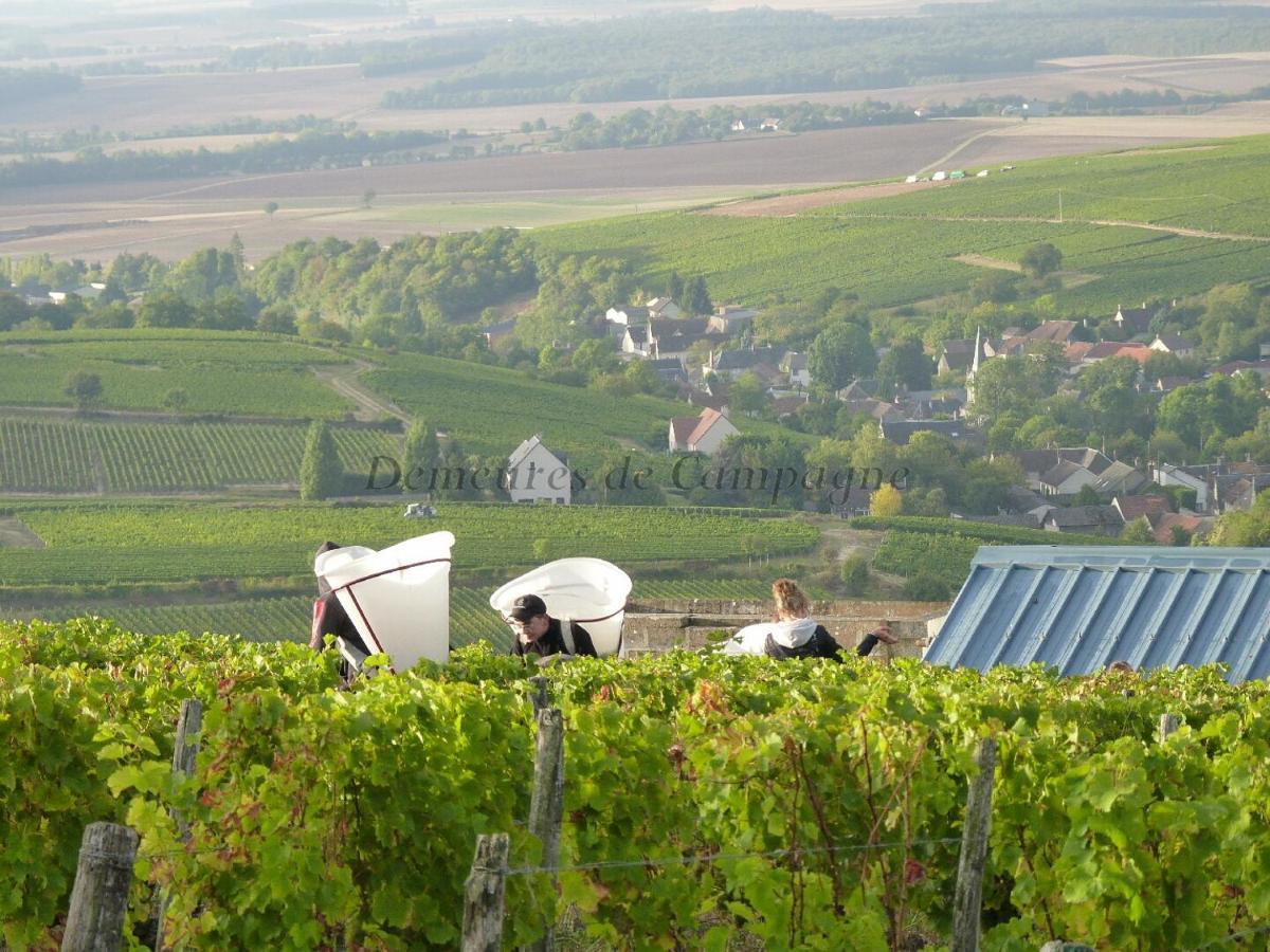 Maison Les Fossiles Villa Sancerre Exterior foto